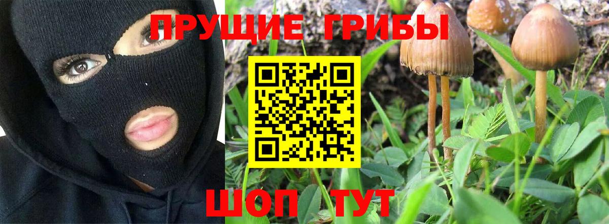 Лянтор  Псилоцибиновые грибы прущие грибы  Вход с VPN 